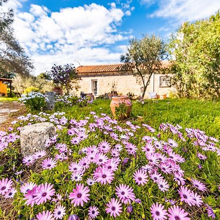 הוילה Campavaglio Casa Lilliosa מראה חיצוני תמונה