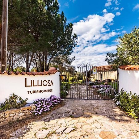 הוילה Campavaglio Casa Lilliosa מראה חיצוני תמונה
