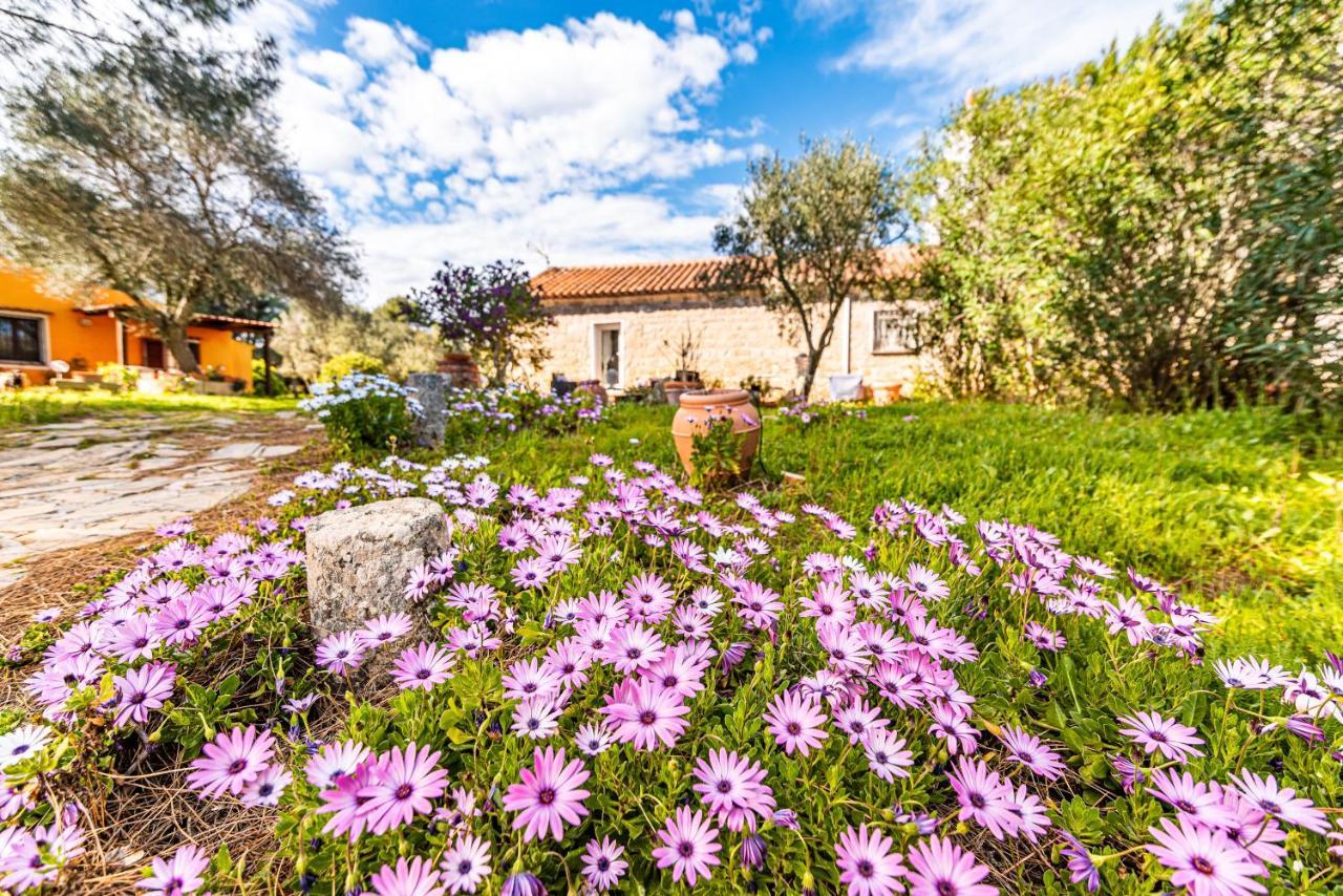 הוילה Campavaglio Casa Lilliosa מראה חיצוני תמונה